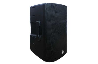 12 İnç  2 Yollu 400W Aktif Kabin Hoparlör - 1