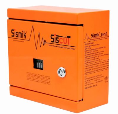 2 Kontaklı Elektronik Deprem Sensörü - 1